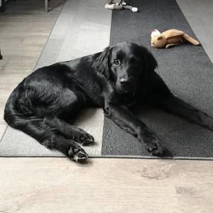 Meet your Posher, Kansas